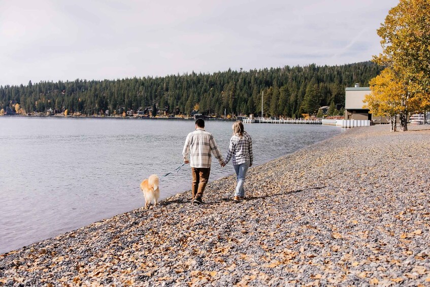 Two people walking a dog along a pebbled beach with a forested hillside in the background. 3