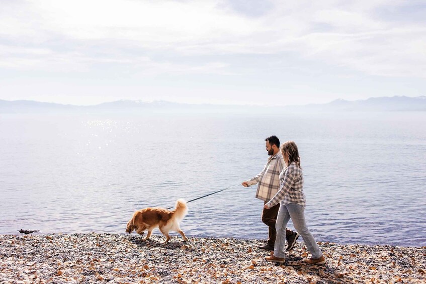 A couple walking a dog on a pebbled beach with a calm sea and mountains in the distance. 2