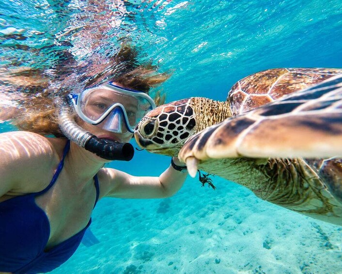 A person snorkeling underwater, interacting with a sea turtle. 2