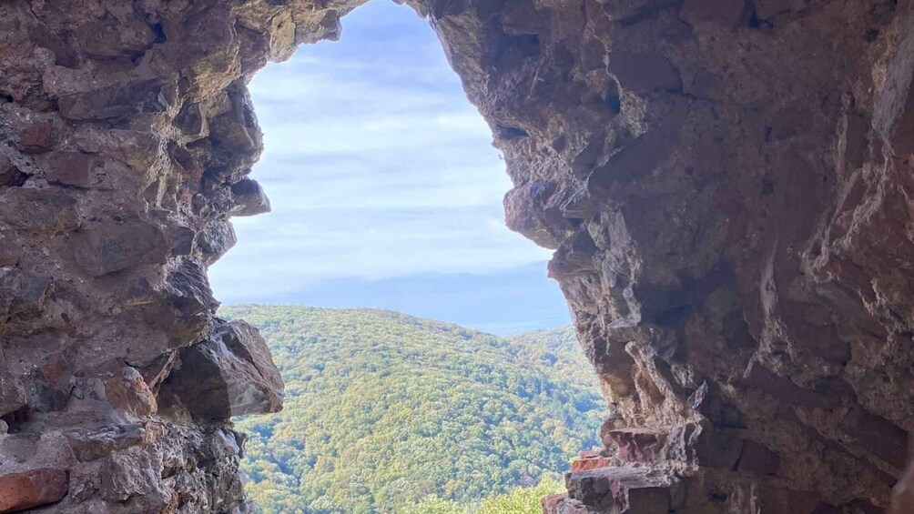 A natural rock formation with a cave entrance and a forested mountain in the background. 5