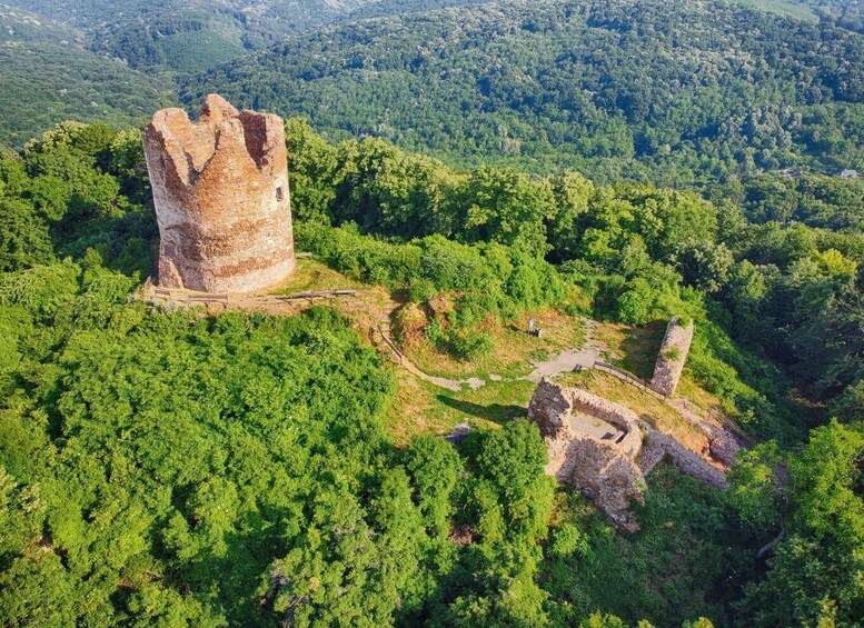 A historic tower surrounded by dense forest and a clear sky. 2