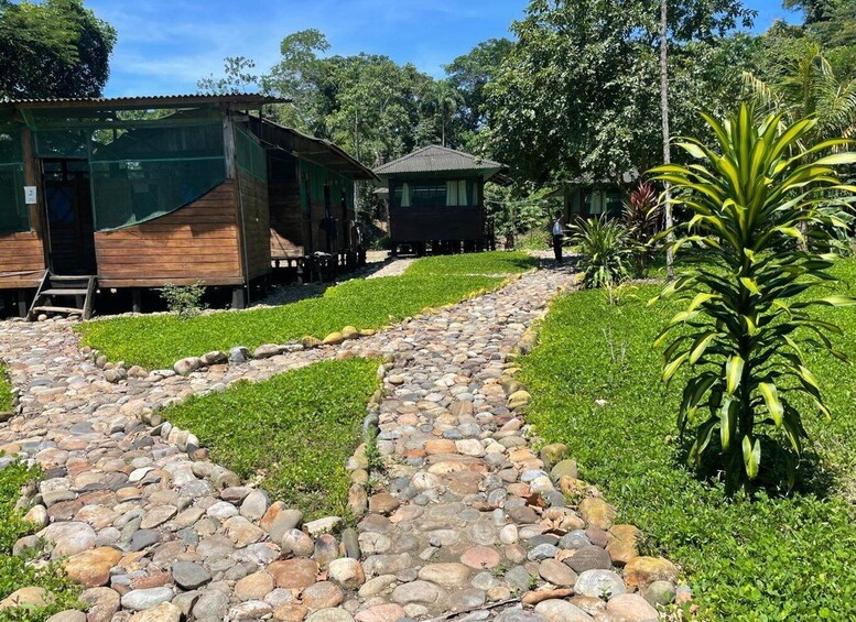 A pathway lined with rocks and grass, leading to wooden cabins in a forested area. 3