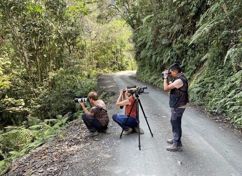 Three people photographing a forested roadside. 4