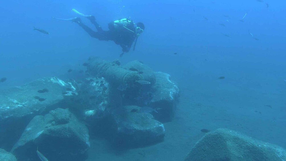Picture 10 for Activity Madeira: Stingray Diving Experience in Caniçal 4