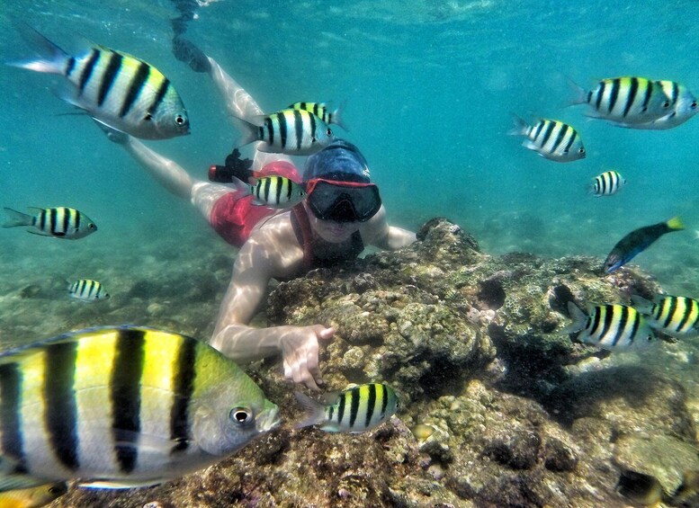 Picture 13 for Activity Yogyakarta: Timang & Hidden Beach Snorkeling Adventure 4