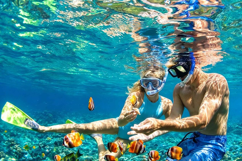 Picture 15 for Activity Yogyakarta: Timang & Hidden Beach Snorkeling Adventure 2