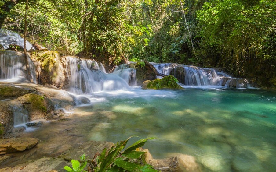 Sacred Spring and Traditional Cuisine in Llano Grande 1