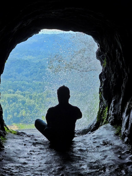 A person sitting inside a cave with a view of a forest. 3