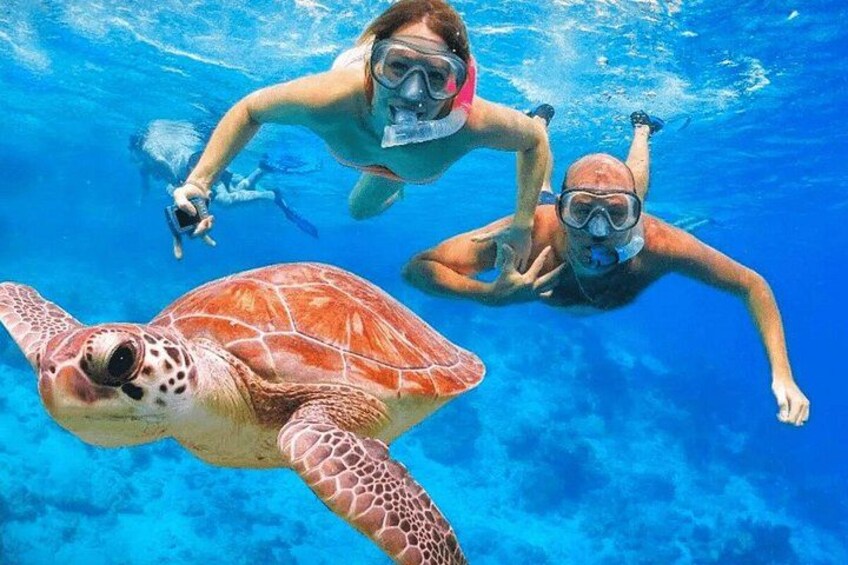 A sea turtle swimming underwater with two divers. 2