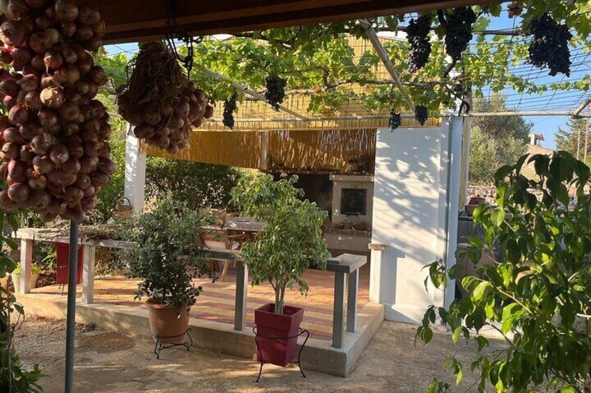Un giardino con piante in vaso, una pergola e grappoli d'uva pendenti. 1