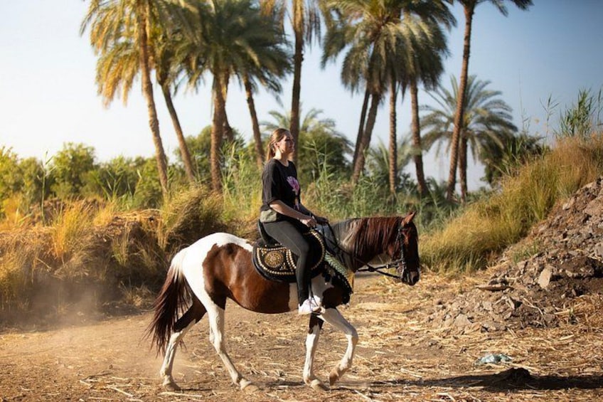 Horseback riding tour of rural Luxor east side 3