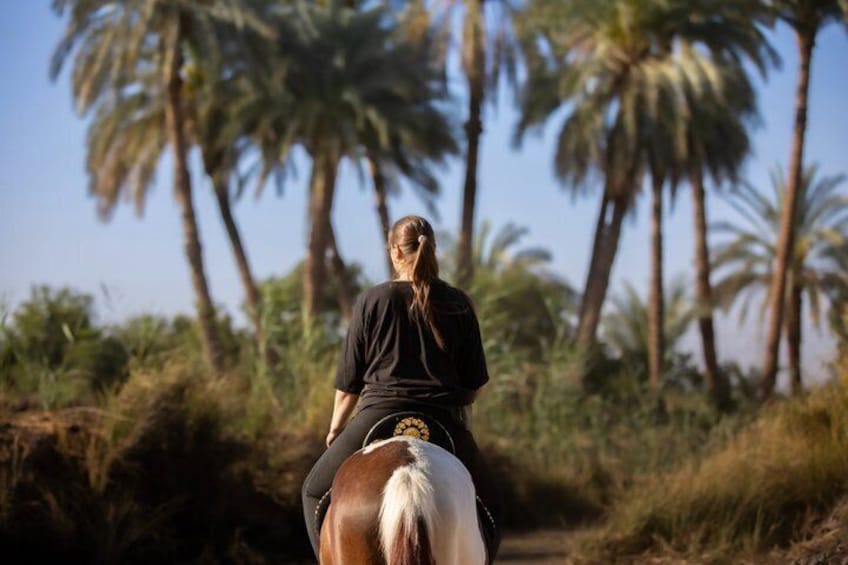 Horseback riding tour of rural Luxor east side 2