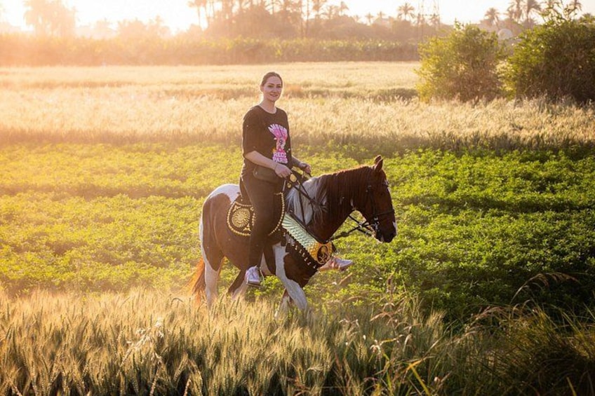 Horseback riding tour of rural Luxor east side 5
