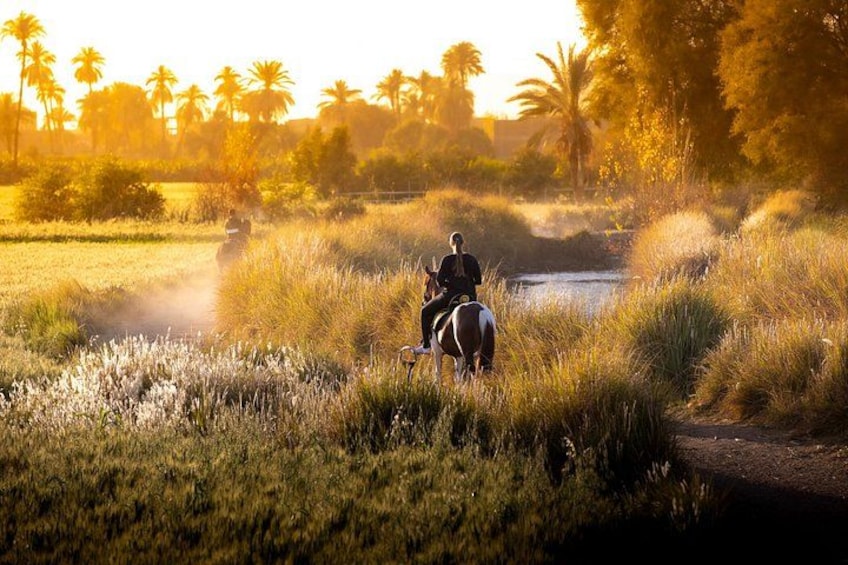 Horseback riding tour of rural Luxor east side 1