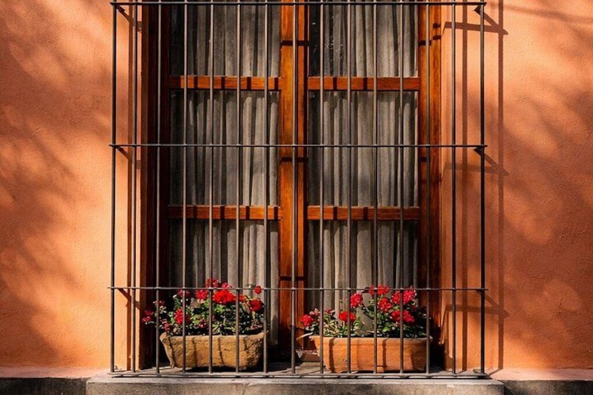 Una ventana con barrotes de metal, dos macetas con flores rojas y una puerta de madera. 1