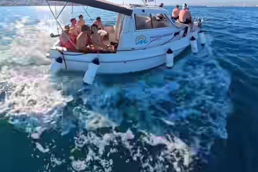 Zadar: 3 Islands Escape Boat Tour w/ Drinks, SUP & Snorkeling 2
