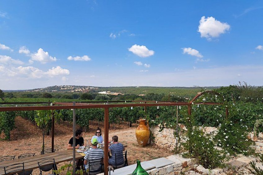 Viñedo con una pérgola, un jarrón grande y una mesa donde personas están cenando. 5