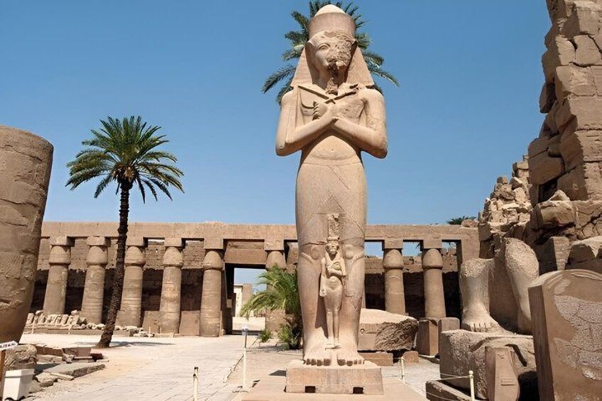 3 Day 2-night Nile Cruise from Luxor to Aswan with Private Guide 2