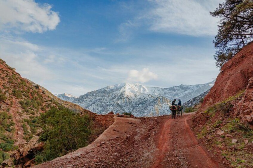 Exclusive Ourika Valley Day Trip from Marrakech 4