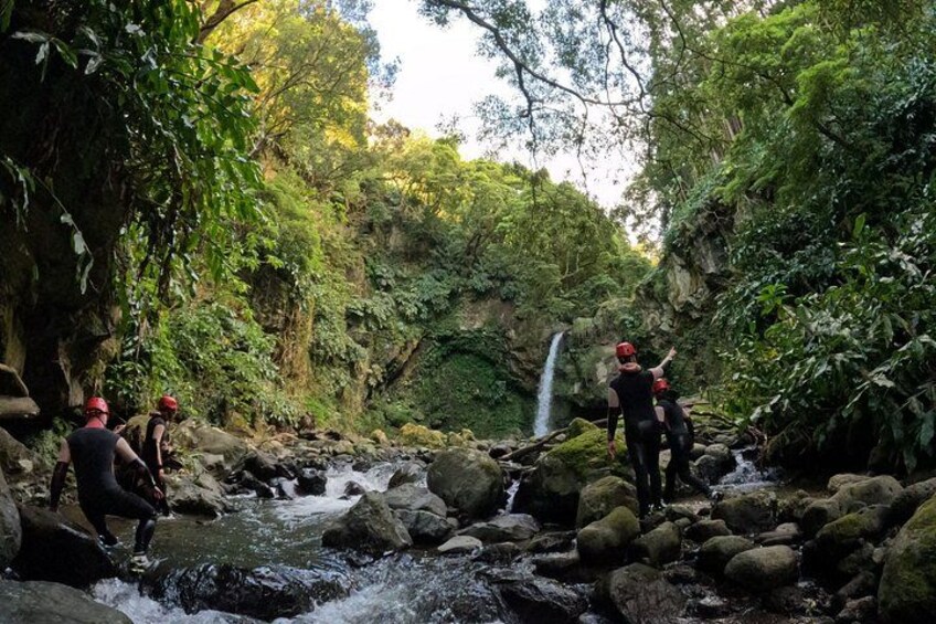 A group of people hiking in a forested area with a waterfall. 3