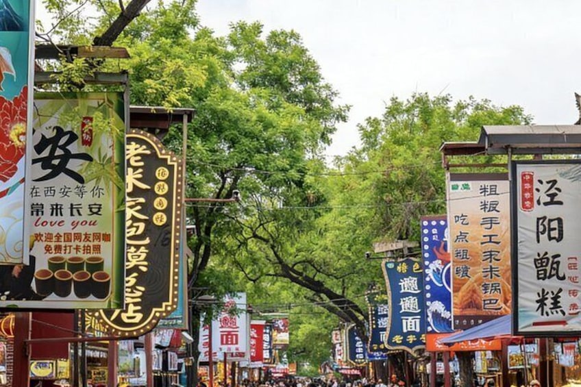 Private Day Tour to Terracotta Army and Xian 4