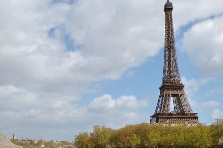 The Eiffel Tower with a cloudy sky and greenery in the foreground. 3
