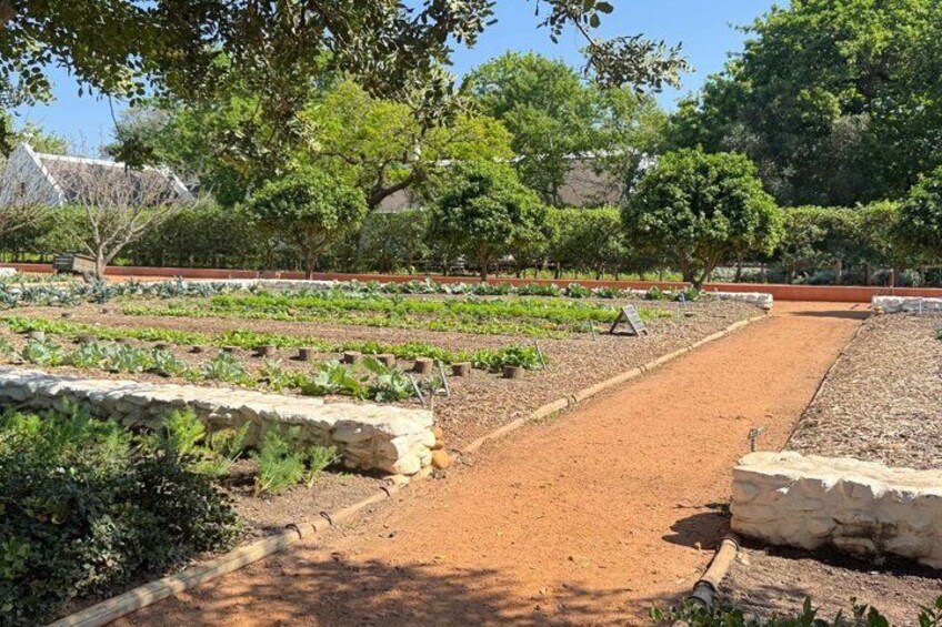 Full Day Wine Tour in Cape Winelands with Tastings 3