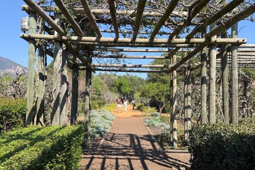 Full Day Wine Tour in Cape Winelands with Tastings 5