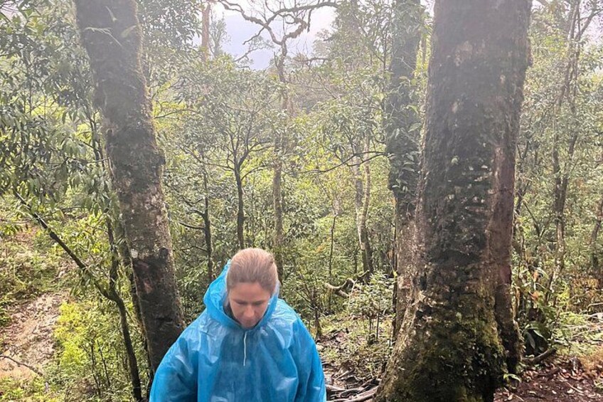 2-Days Fansipan Trek with LOCAL Guide 2