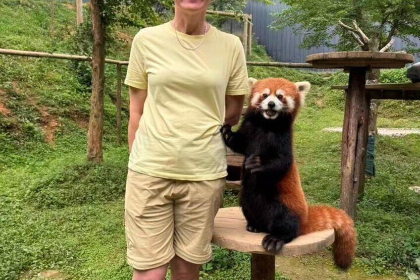 Red Panda Volunteer Experience 2