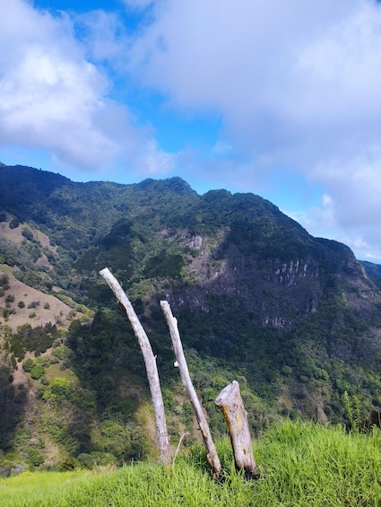 A mountainous landscape with lush greenery and a clear sky. 3