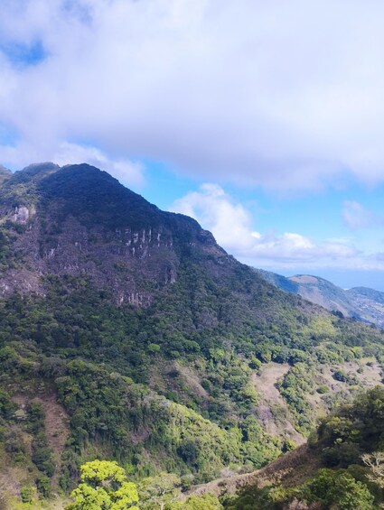 A mountainous landscape with dense forest and a clear sky. 2