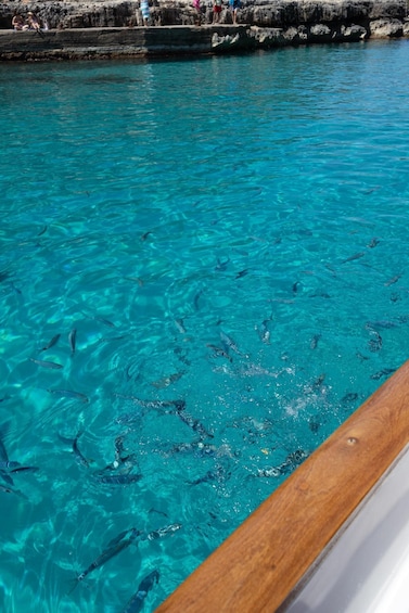 Picture 18 for Activity Private tour to Calo des Moro by boat 4