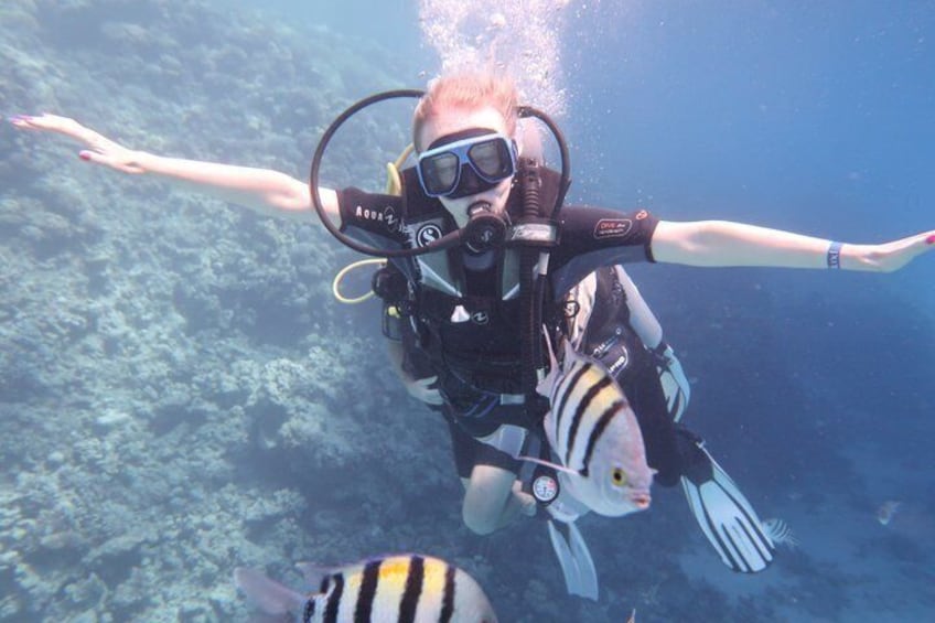 A person scuba diving with fish nearby. 3