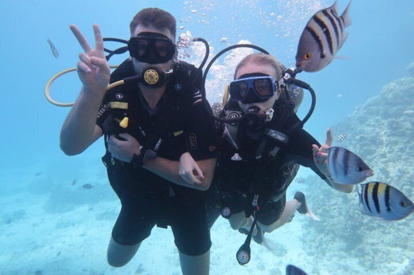 Two scuba divers underwater with fish around them. 2