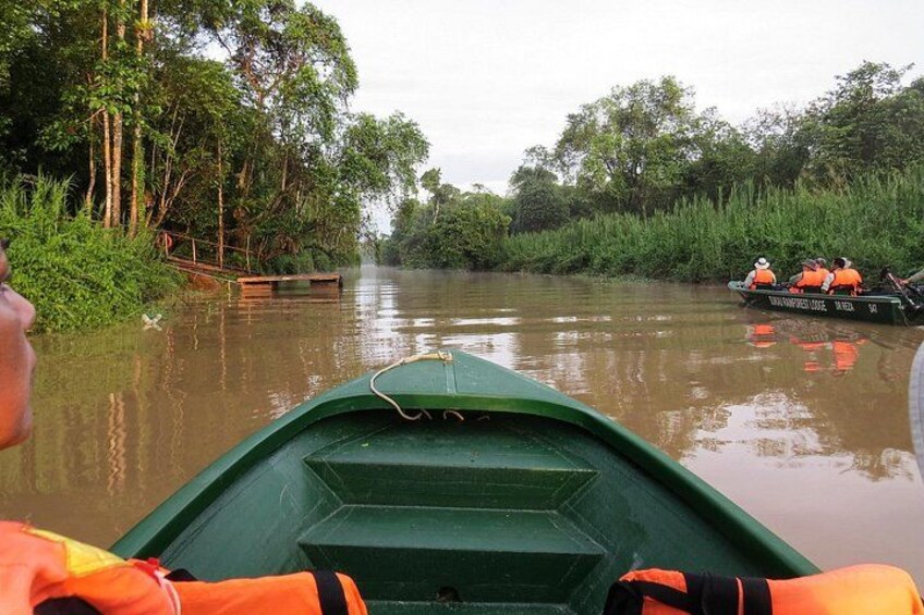 Un bateau vert sur une rivière, entouré d’une végétation luxuriante. 1