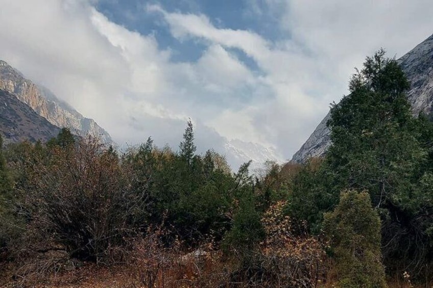 A mountainous landscape with dense forests and snow-capped peaks. 5