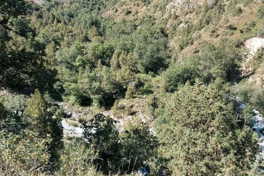 A mountainous landscape with dense forestation and a visible stream. 2