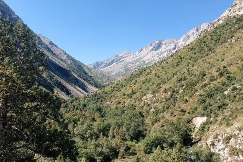 A mountainous valley with dense forest and rocky terrain. 1