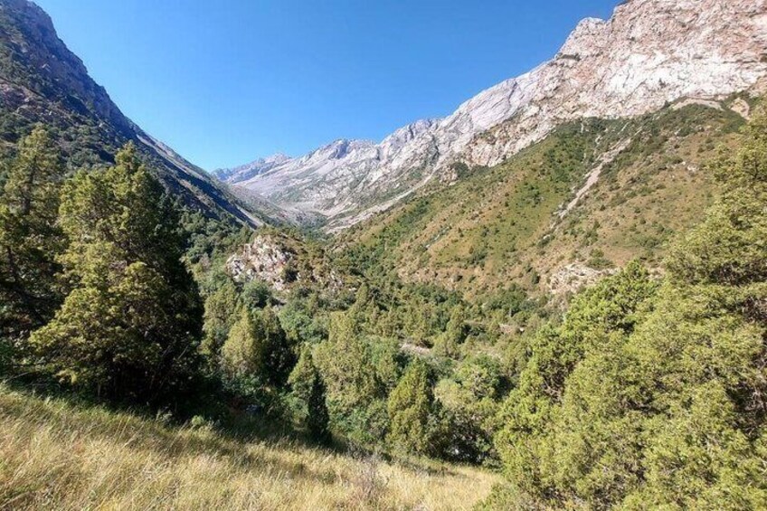 A mountainous landscape with dense forests and rocky cliffs. 3