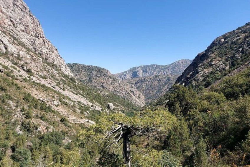 A mountainous landscape with rocky terrain and sparse vegetation. 4