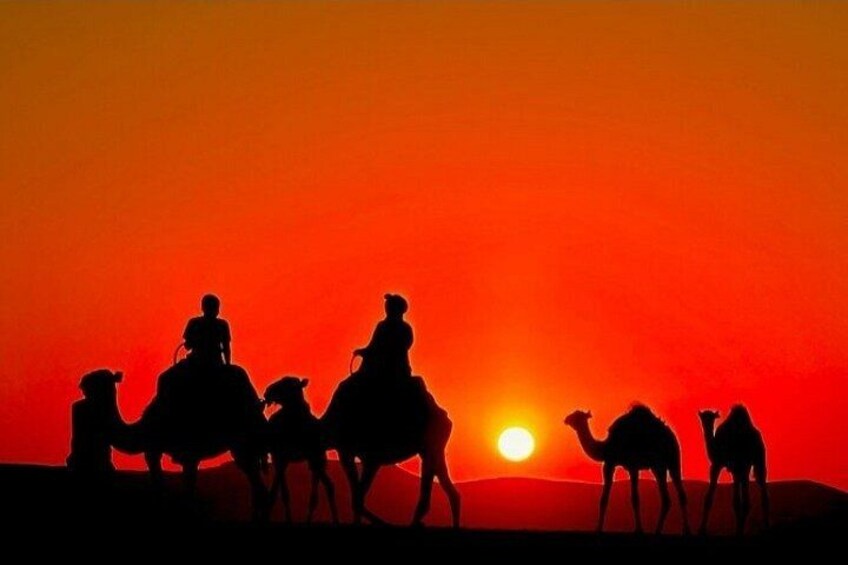 Silhouettes of people riding camels against a sunset. 1