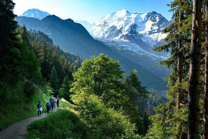 A hiking trail with people, surrounded by lush greenery and snow-capped mountains. 1