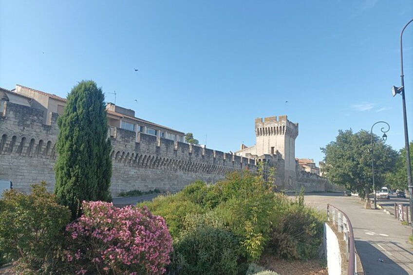 Private Avignon Walking Tour Popes Palace and Pont dAvignon 4
