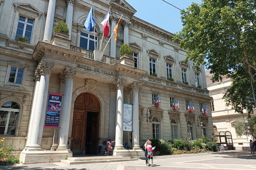 Private Avignon Walking Tour Popes Palace and Pont dAvignon 2