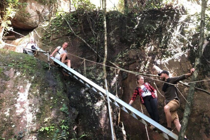 A person walking on a rope bridge in a forested area. 1