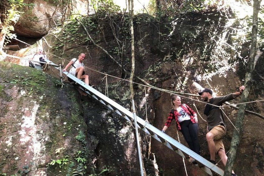 People walking on a rope bridge in a forested area. 1