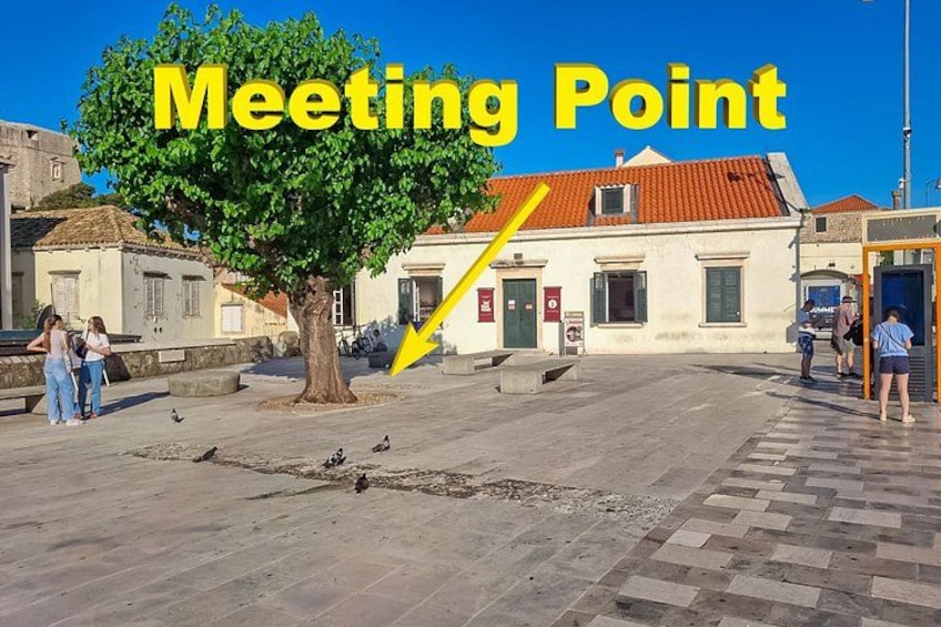 Dubrovnik Private Old Town History Tour 2