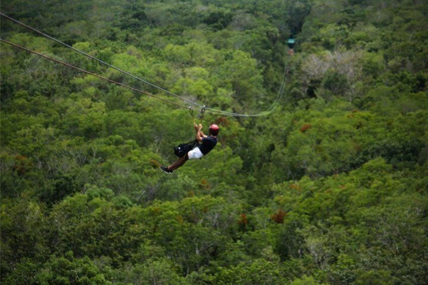 A person zip-lining through a forest. 3