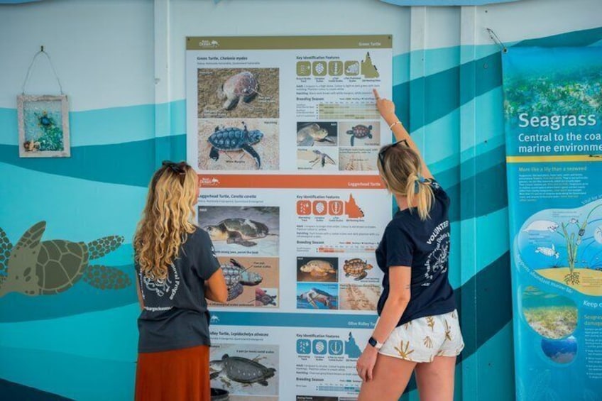 Twee personen bekijken een poster over een marine omgeving, met afbeeldingen van schildpadden en informatie. 5